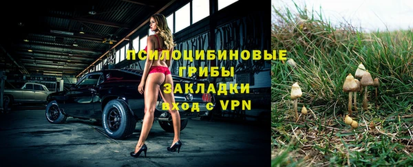 гидропоника Беломорск