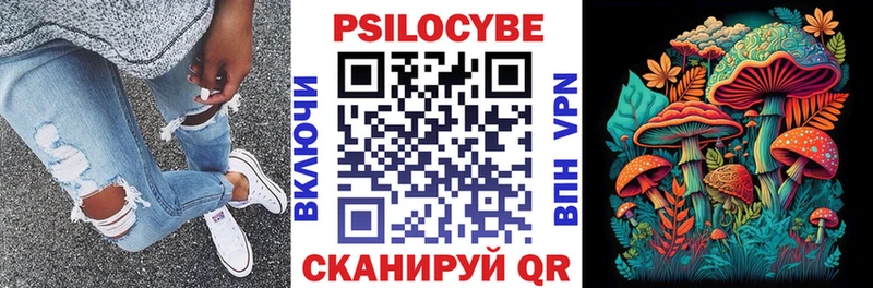 Псилоцибиновые грибы ЛСД  магазин продажи наркотиков  Няндома 